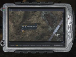 SecretStashUnderThePineTree