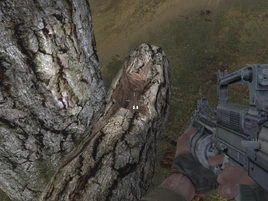 Secret stash wt location