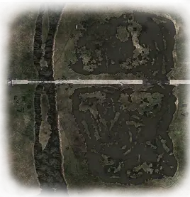 Swamps map