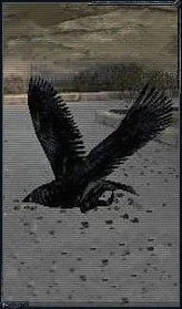 Ворон южный сталкер 15. Ворона сталкер. Южный сталкер 18. Ворон южный сталкер 15. Южный парк сталкер.