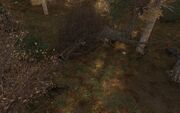2947 Garbage 3.jpg