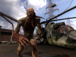 (zaton) xr cop screen 030.jpg