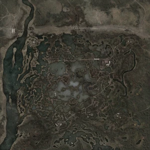 Marsh 111