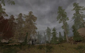 Окрестности Рыжего леса