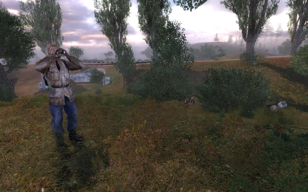 Наблюдает за бандитами на АТП