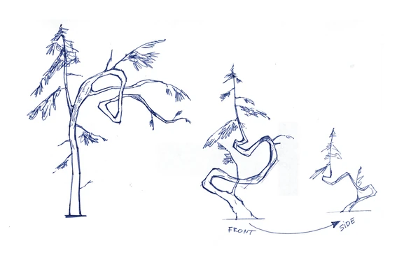 Зарисовка элементов «соснодуба» от 2 апреля 2009г