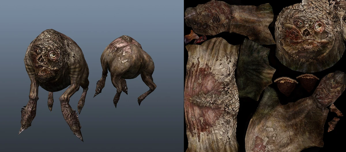 Далекий плоть. Далекий плоть. R. Террария босс стена плоти. Сталкер мутанты и их описание.