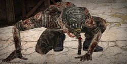 Snork CoP PDA old.png