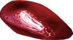 Artefact glaz 2.png