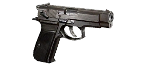 Icon CoP upgrade window Fora