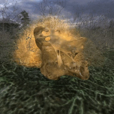 Внешний из «S.T.A.L.K.E.R.: Тень Чернобыля»