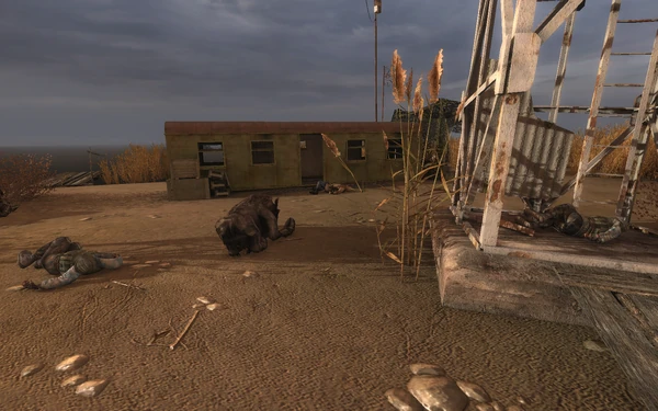 Погибший отряд, находившийся на земле