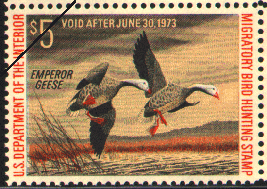 Duck Stamp (1972)