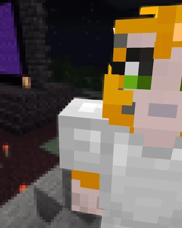 Hacked Stampylongnose Wiki Fandom