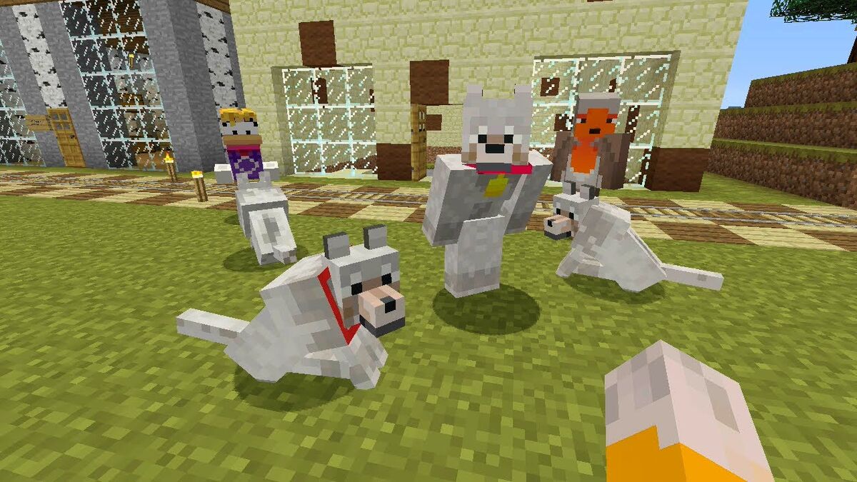 Pick A Pet | Stampylongnose Wiki | Fandom