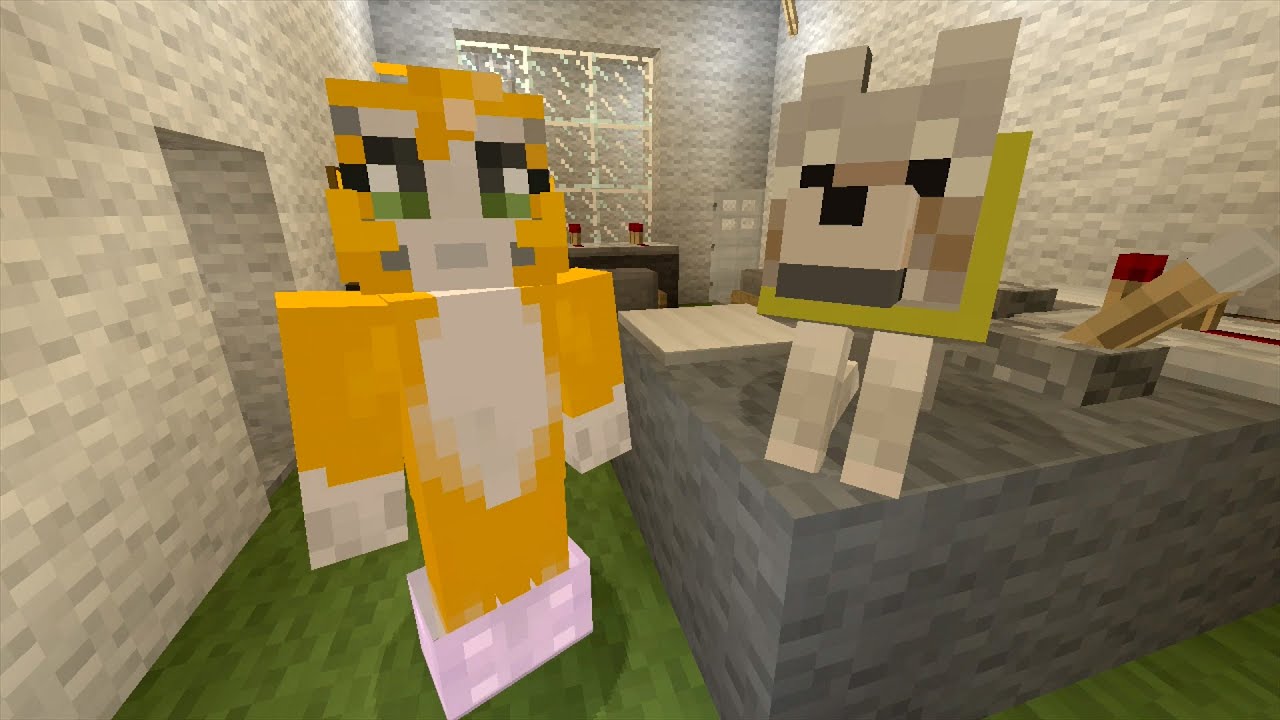 Sqaishey Quack, Stampylongnose Wiki