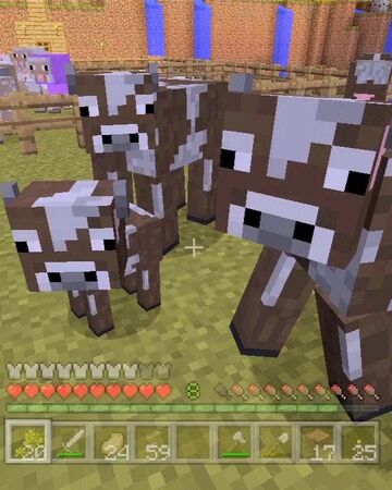 Animal Farm Stampylongnose Wiki Fandom Animal Farm Stampylongnose Wiki Fandom, How To Make A Small Worm Farm For Fishing Minecraft