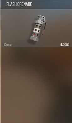 Flash Grenade.jpg
