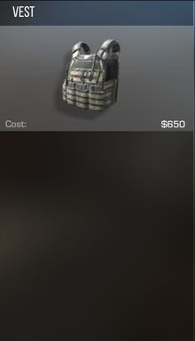 Vest.jpg