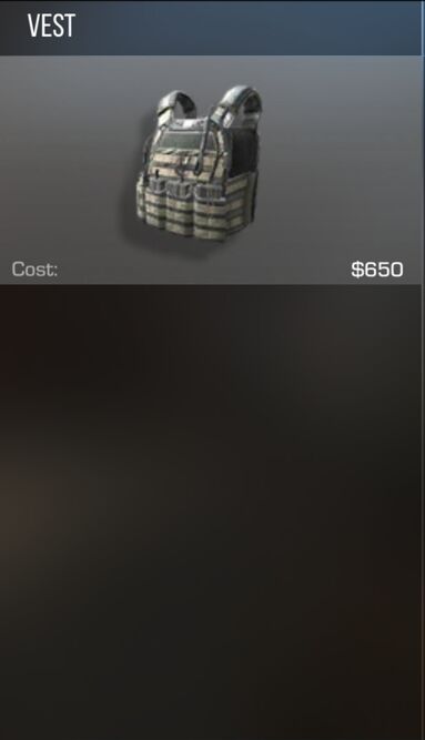 Vest.jpg