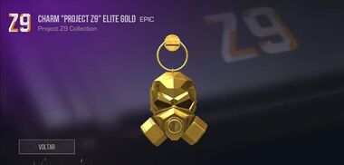 Z9Charm2.jpg