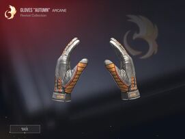 Gloves Revival (2).jpg