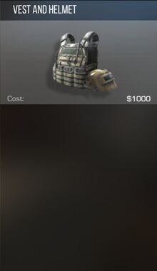 Vest and Helmet.jpg