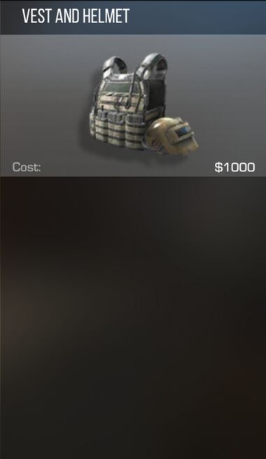 Vest and Helmet.jpg