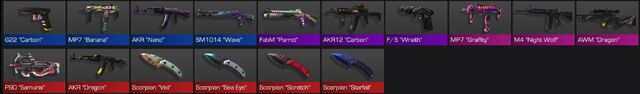 Scorpion Case.jpg