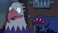 S2E35 Bald eagle and giant spider nod their heads