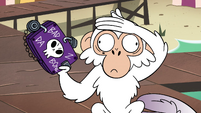 S4E2 Monkey with hand over its face