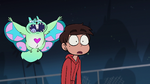 S1E4 Magic flying squirrel swoops down on Marco