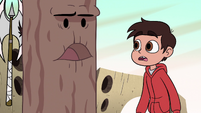 S2E13 Tree next to Marco starts to talk