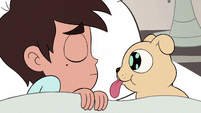 S2E31 Another laser puppy appears in Marco's bed