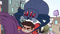 S2E14 Giant spider jumps on Marco Diaz