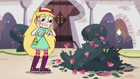 S3E11 Star Butterfly looking at the ruined roses