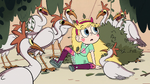 S2E7 Star Butterfly surrounded by seagulls