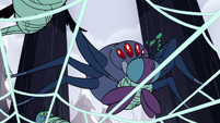 S2E2 Giant spider eating a trapped fly