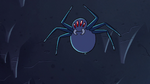 S2E2 Giant spider pounces on top of Ludo