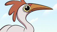 S2E7 Seagull looking at Star Butterfly