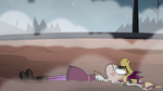 S3E27 Star Butterfly lying face up in the mud