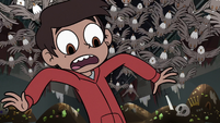 S3E20 Marco Diaz looking down at his feet