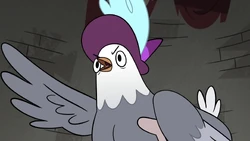 Click here to view the image gallery for Rich Pigeon.