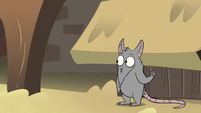 S2E12 Mewnian rat giving another rat a signal