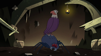 S2E20 Bald eagle and giant spider looking at Ludo