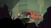 S1E4 Group of stray cats