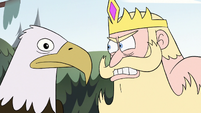 S2E10 King and bald eagle have a staring contest