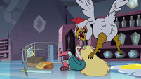 S1E8 Big Chicken swoops down on Star