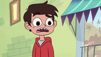 S1E12 Marco 'really'