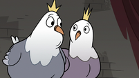 S3E20 King and Queen Pigeon looking at each other